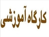 برگزاری کارگاه آموزشی «راه‌هایی برای تفسیر ساده یافته‌های آماری» 